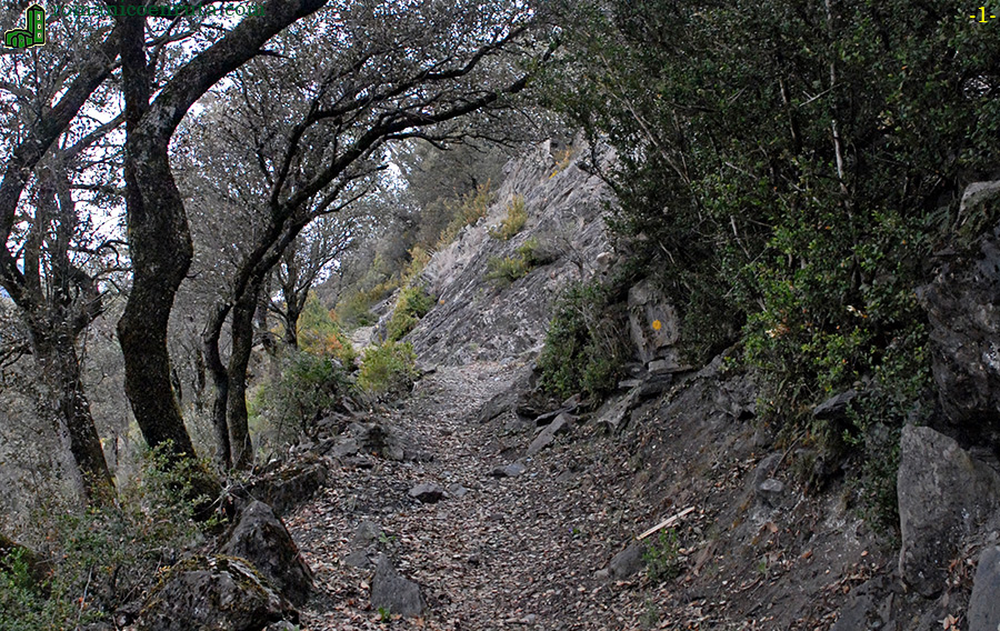 SENDERO A SANT MART&Iacute; DE NAGOL.