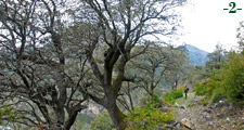 EL SENDERO UN POCO DESPU&Eacute;S DE LA FOTO ANTERIOR.