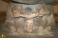 LEONES MORDIENDO BRAZO HUMANO.