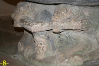 LEONES MORDIENDO BRAZO HUMANO.