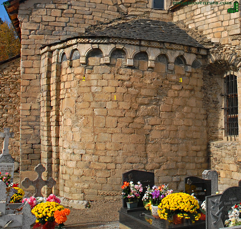 ABSIDIOLA MERIDIONAL.