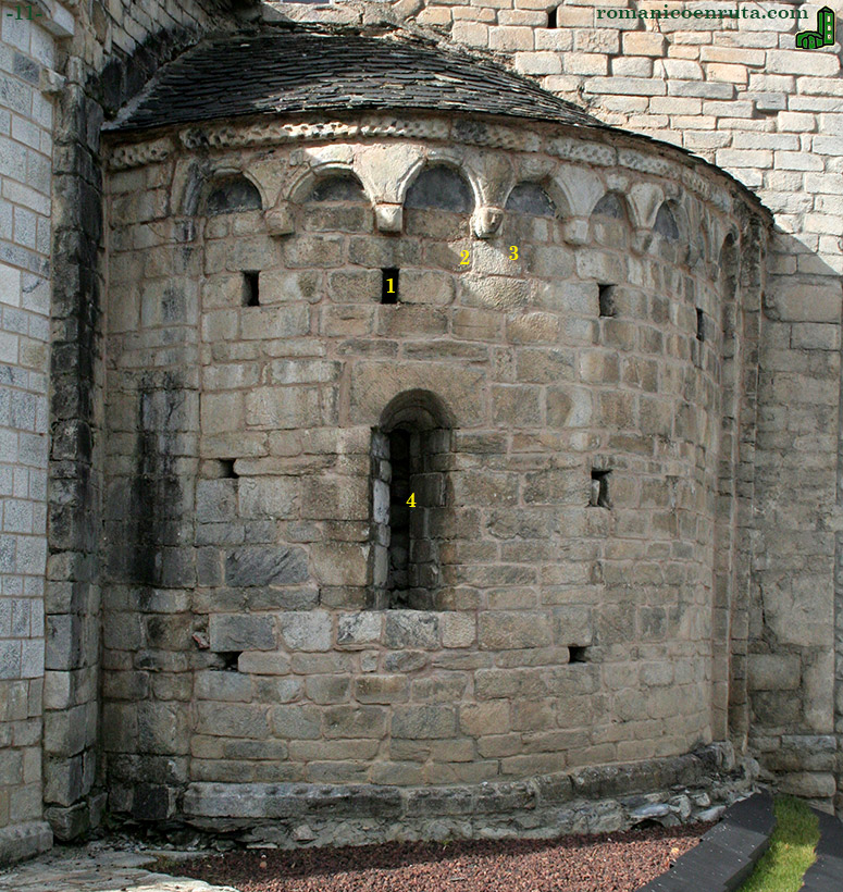 ABSIDIOLA SEPTENTRIONAL.